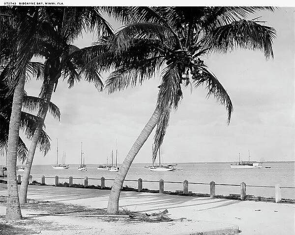 Biscayne Bay, Miami, Fla. c.between 1910 and 1920. Creator: William H. Jackson
