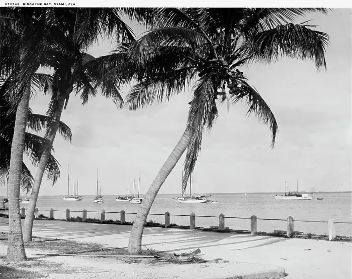 Framed Print : Biscayne Bay, Miami, Fla. c.between 1910 and 1920. Creator: William H. Jackson Framed Print : Biscayne Bay, Miami, Fla. c.between 1910 and 1920. Creator: William H. Jackson