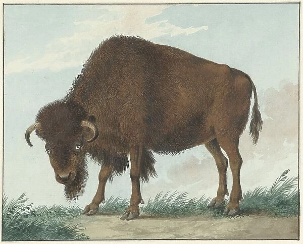 Bison, 1808. Creator: Izaak van Haastert