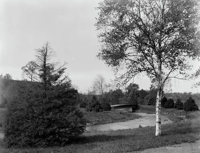 Framed Print : A Bit of Forest Park, Springfield, Mass. between 1910 and 1920. Creator: Unknown Framed Print : A Bit of Forest Park, Springfield, Mass. between 1910 and 1920. Creator: Unknown
