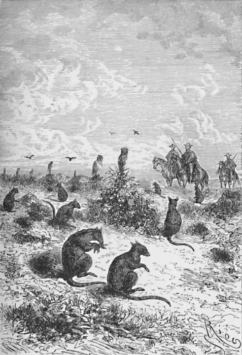 Framed Print : Bizcachas, c1885, (1890). Artist: Robert Taylor Pritchett Framed Print : Bizcachas, c1885, (1890). Artist: Robert Taylor Pritchett