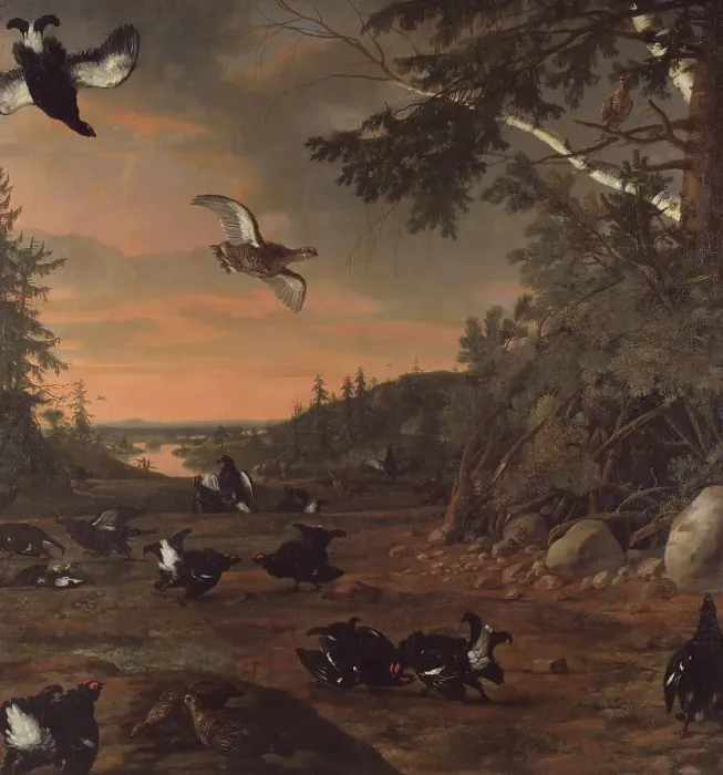 Framed Print : Black Cocks at Ground, 1675. Creator: David Klocker Ehrenstrahl Framed Print : Black Cocks at Ground, 1675. Creator: David Klocker Ehrenstrahl