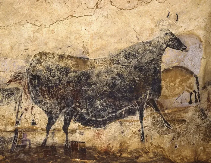 Framed Print : Black Cow. Caves painting of Lascaux, ca 16. 000-15. 000 BC Framed Print : Black Cow. Caves painting of Lascaux, ca 16. 000-15. 000 BC
