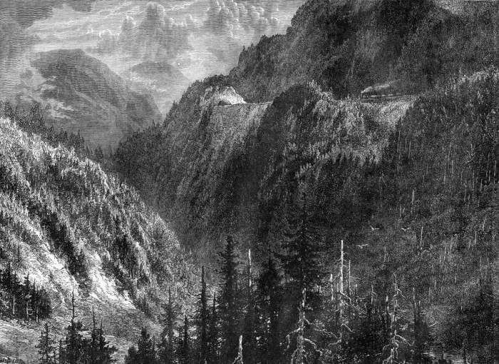 Framed Print : The Black Forest, Germany, 19th century. Artist: WHJ Pool Framed Print : The Black Forest, Germany, 19th century. Artist: WHJ Pool