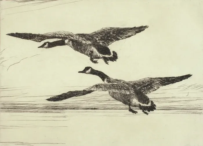Framed Print : Two Black Geese, 1931. Creator: Frank Weston Benson Framed Print : Two Black Geese, 1931. Creator: Frank Weston Benson