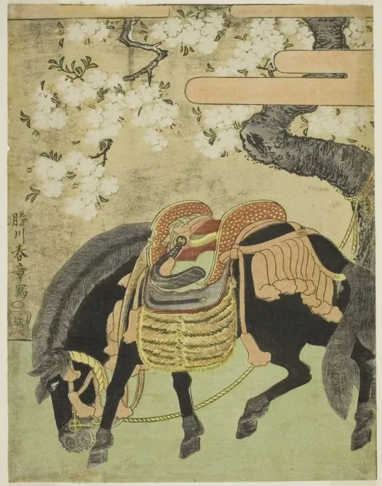 Framed Print : Black Horse Tethered under a Blossoming Cherry Tree, Japan, c. 1770. Creator: Shunsho Framed Print : Black Horse Tethered under a Blossoming Cherry Tree, Japan, c. 1770. Creator: Shunsho
