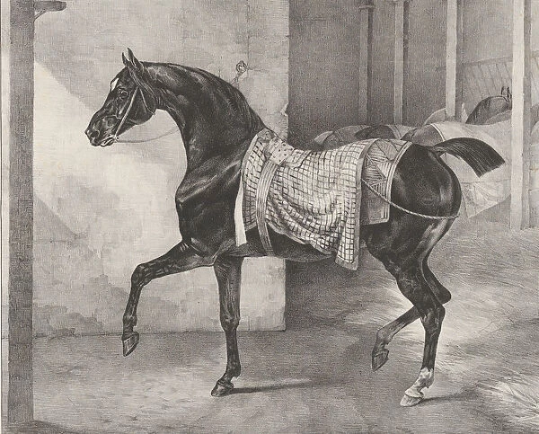 Black Horse Tethered in a Stable, 1822. Creator: Theodore Gericault