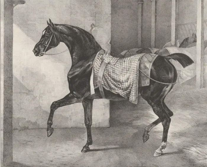 Framed Print : Black Horse Tethered in a Stable, 1822. Creator: Theodore Gericault Framed Print : Black Horse Tethered in a Stable, 1822. Creator: Theodore Gericault