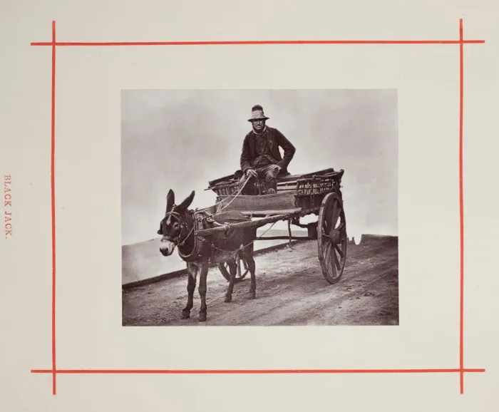 Framed Print : Black Jack, 1877. Creator: John Thomson Framed Print : Black Jack, 1877. Creator: John Thomson