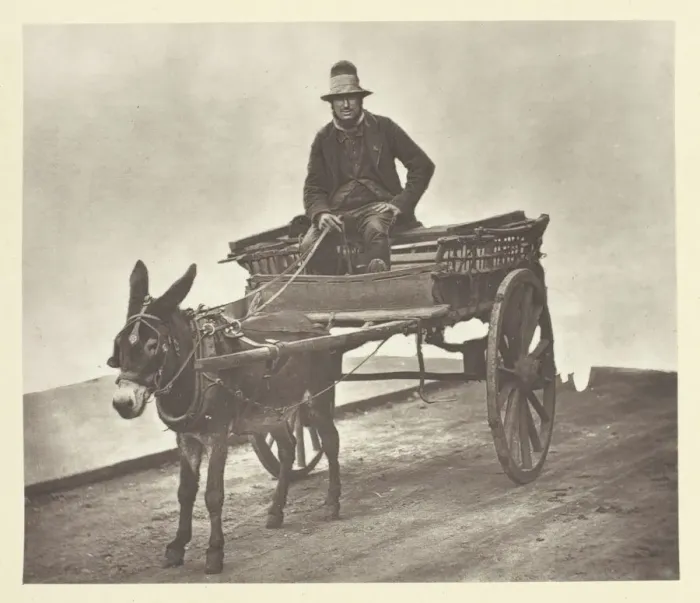 Framed Print : Black Jack, 1881. Creator: John Thomson Framed Print : Black Jack, 1881. Creator: John Thomson
