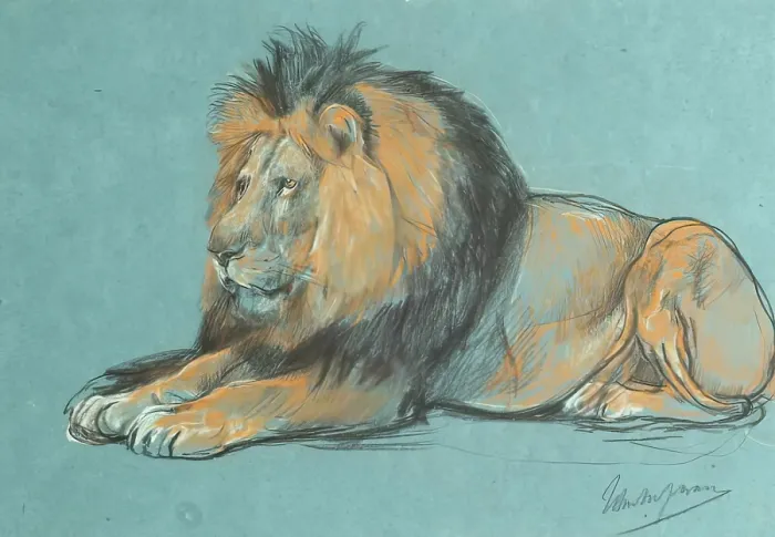 Framed Print : A Black-Maned African Lion. Creator: John MacAllan Swan Framed Print : A Black-Maned African Lion. Creator: John MacAllan Swan