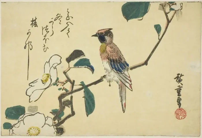 Framed Print : Black-naped oriole on camellia branch, n. d. Creator: Ando Hiroshige Framed Print : Black-naped oriole on camellia branch, n. d. Creator: Ando Hiroshige