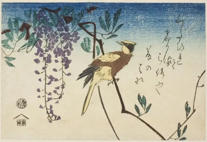 Framed Print : Black-naped oriole and wisteria, n. d. Creator: Ando Hiroshige Framed Print : Black-naped oriole and wisteria, n. d. Creator: Ando Hiroshige