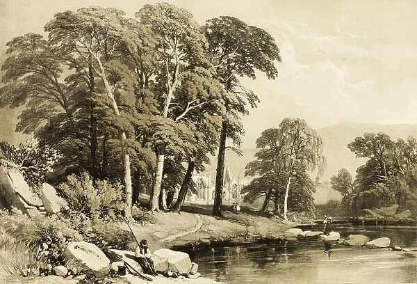 Black Poplar, from The Park and the Forest, 1841. Creator: James Duffield Harding