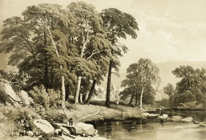 Framed Print : Black Poplar, from The Park and the Forest, 1841. Creator: James Duffield Harding Framed Print : Black Poplar, from The Park and the Forest, 1841. Creator: James Duffield Harding