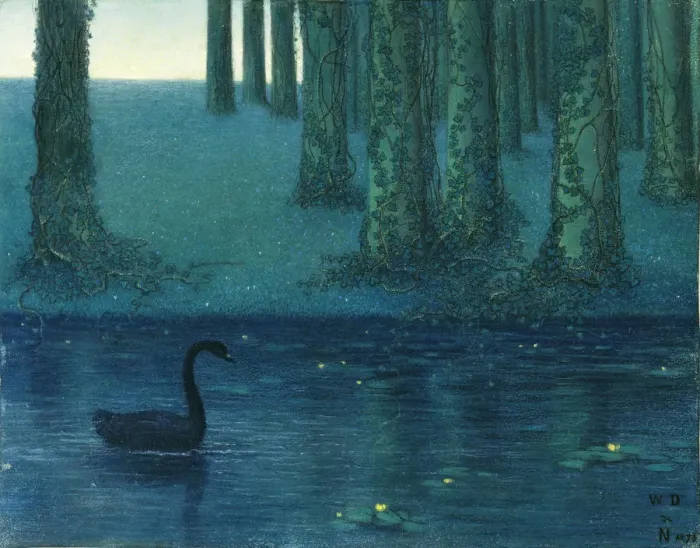 Framed Print : The black swan Framed Print : The black swan