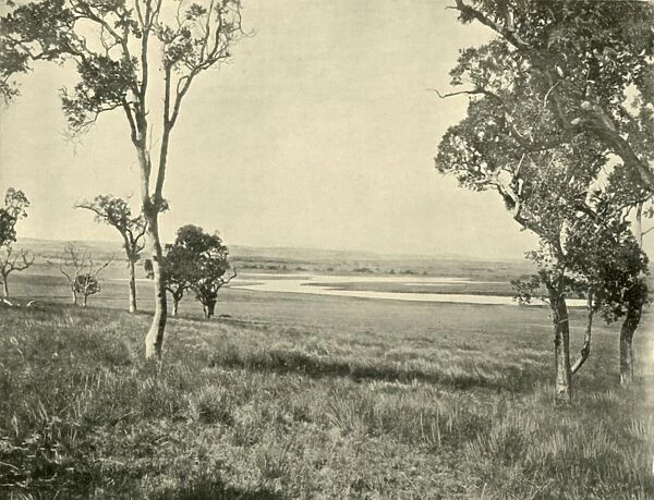 Black Swan Lagoon, near Warwick, Queensland, 1901. Creator: Unknown