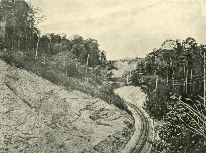 Framed Print : In the Blackall Ranges, 1901. Creator: Unknown Framed Print : In the Blackall Ranges, 1901. Creator: Unknown