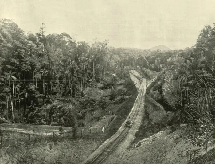 Framed Print : In the Blackall Ranges, 1901. Creator: Unknown Framed Print : In the Blackall Ranges, 1901. Creator: Unknown