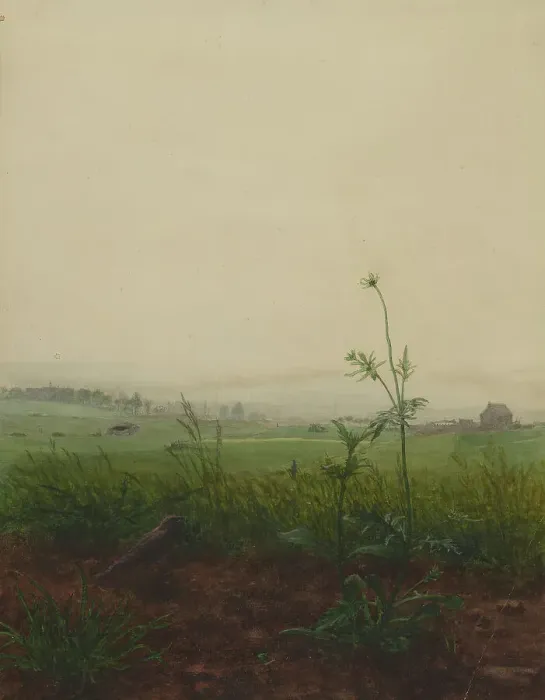 Framed Print : Blackbird and Scabious in front of a Landscape, 1864. Creator: Leon Bonvin Framed Print : Blackbird and Scabious in front of a Landscape, 1864. Creator: Leon Bonvin
