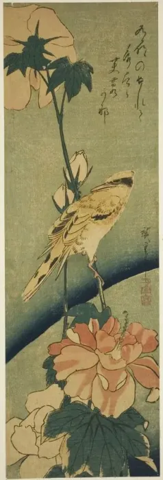 Framed Print : Blacked-naped oriole on hibiscus, mid-1830s. Creator: Ando Hiroshige Framed Print : Blacked-naped oriole on hibiscus, mid-1830s. Creator: Ando Hiroshige