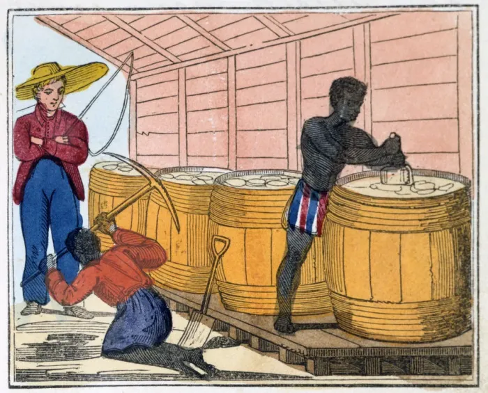 Framed Print : The Blackmans Lament on how to make Sugar, 1813. Artist: Amelia Alderson Opie Framed Print : The Blackmans Lament on how to make Sugar, 1813. Artist: Amelia Alderson Opie