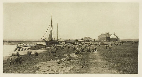 Blackshore, River Blythe (Suffolk), c. 1883  /  87, printed 1888