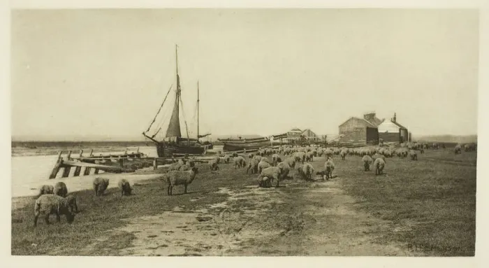 Framed Print : Blackshore, River Blythe (Suffolk), c. 1883 / 87, printed 1888 Framed Print : Blackshore, River Blythe (Suffolk), c. 1883 / 87, printed 1888