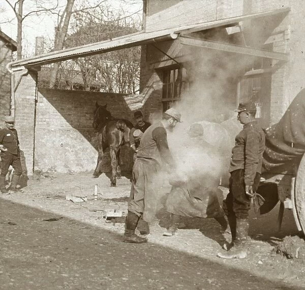 Blacksmith shoeing horse, Suippes, northern France, c1914-c1918