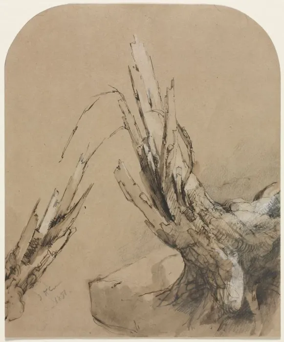 Framed Print : A Blasted Tree, 1851. Creator: Jasper F. Cropsey (American, 1823-1900) Framed Print : A Blasted Tree, 1851. Creator: Jasper F. Cropsey (American, 1823-1900)