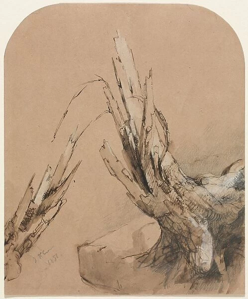 A Blasted Tree (recto) Floorplan (verso), 1851. Creator: Jasper F. Cropsey (American, 1823-1900)