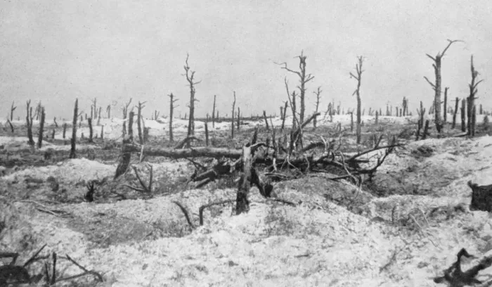 Framed Print : Blasted tree stumps, Mesnil, Champagne, France, World War I, 1915 Framed Print : Blasted tree stumps, Mesnil, Champagne, France, World War I, 1915
