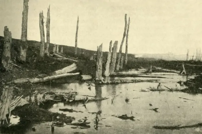 Framed Print : Blasted trees by the River Ancre, northern France, First World War, 1916, (c1920) Framed Print : Blasted trees by the River Ancre, northern France, First World War, 1916, (c1920)