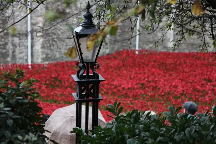 Framed Print : Blood Swept Lands and Seas of Red, Tower of London, 2014. Artist: Sheldon Marshall Framed Print : Blood Swept Lands and Seas of Red, Tower of London, 2014. Artist: Sheldon Marshall