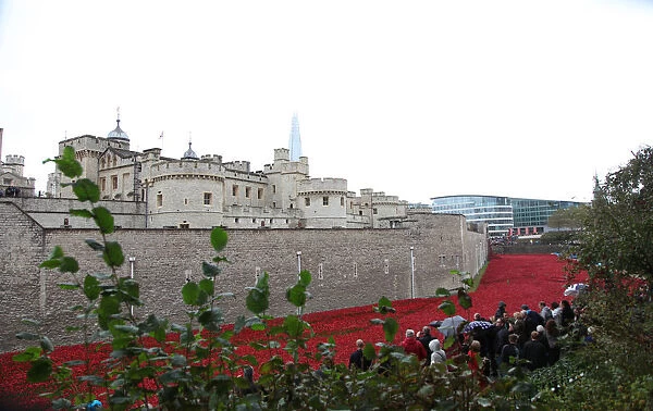 Blood Swept Lands and Seas of Red, Tower of London, 2014. Artist: Sheldon Marshall