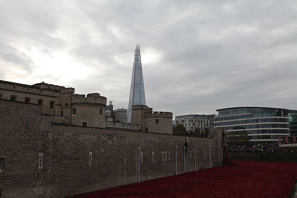 Blood Swept Lands and Seas of Red, Tower of London, 2014. Artist: Sheldon Marshall