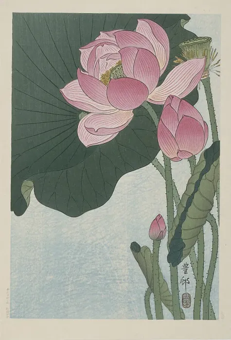 Framed Print : Blooming lotus flowers, 1920-1930. Creator: Ohara, Koson (1877-1945) Framed Print : Blooming lotus flowers, 1920-1930. Creator: Ohara, Koson (1877-1945)