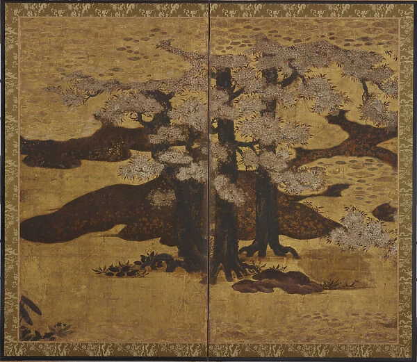 Blossoming cherry trees, Edo period, ca. 1580-1635. Creator: Kano Sanraku