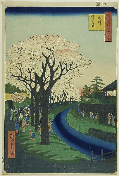 Blossoms on the Tama River Embankment (Tamagawa-zutsumi no hana), from the series... 1856. Creator: Ando Hiroshige