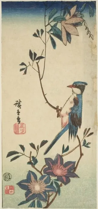 Framed Print : Blue bird on clematis, n. d. Creator: Ando Hiroshige Framed Print : Blue bird on clematis, n. d. Creator: Ando Hiroshige