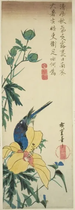 Framed Print : Blue bird and hibiscus, 1830s. Creator: Ando Hiroshige Framed Print : Blue bird and hibiscus, 1830s. Creator: Ando Hiroshige