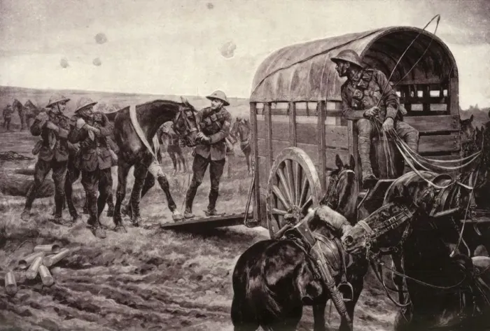 Framed Print : Under the Blue Cross: Wounded Horses Being Conveyed to the Veterinary Hospital, 1917 Framed Print : Under the Blue Cross: Wounded Horses Being Conveyed to the Veterinary Hospital, 1917