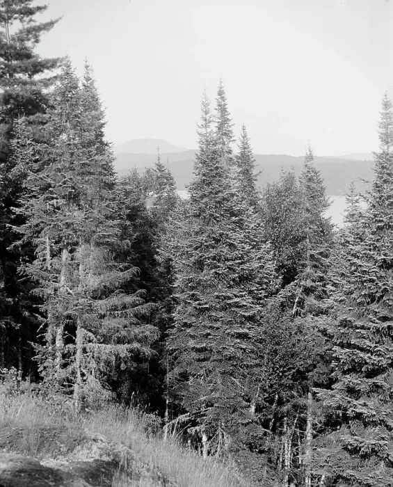 Framed Print : Blue Mountain from the crags, Adirondack Mts. N.Y. between 1900 and 1910. Creator: Unknown Framed Print : Blue Mountain from the crags, Adirondack Mts. N.Y. between 1900 and 1910. Creator: Unknown
