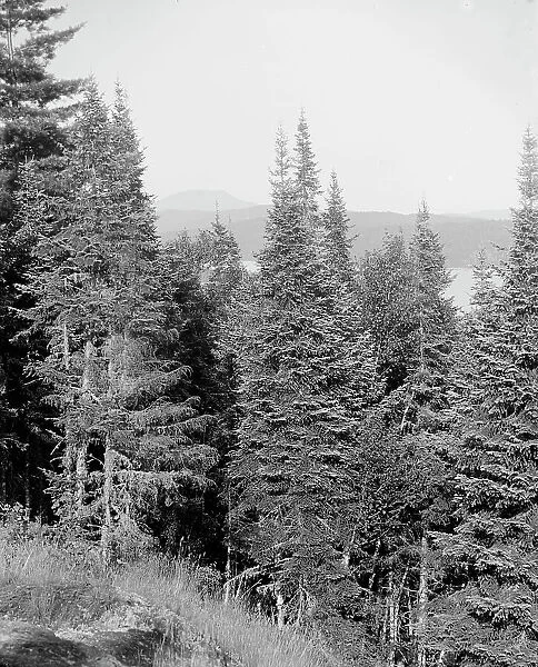 Blue Mountain from the crags, Adirondack Mts. N.Y. between 1900 and 1910. Creator: Unknown