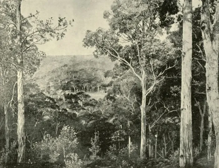 Framed Print : The Blue Mountains, 1901. Creator: Unknown Framed Print : The Blue Mountains, 1901. Creator: Unknown