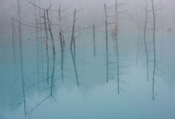 Blue Pond. Creator: Dorte Verner
