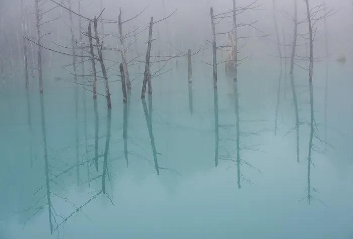 Framed Print : Blue Pond. Creator: Dorte Verner Framed Print : Blue Pond. Creator: Dorte Verner