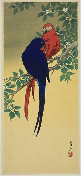 Blue and Red Macaws, n. d. Creator: Shunko