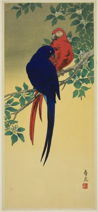 Framed Print : Blue and Red Macaws, n. d. Creator: Shunko Framed Print : Blue and Red Macaws, n. d. Creator: Shunko
