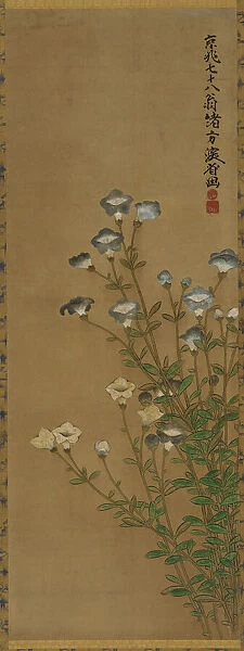 Blue and white flowers on slender stalks, Edo period, 18th-19th century